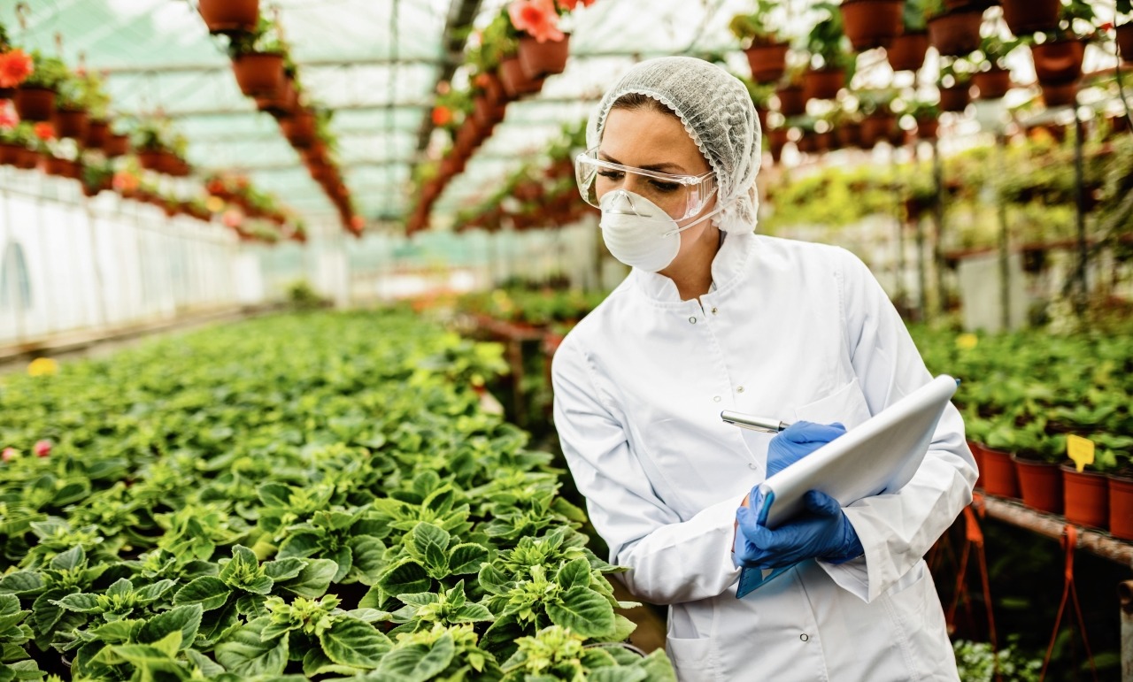 Как устроено регулирование и сертификация сельхозпродукции
