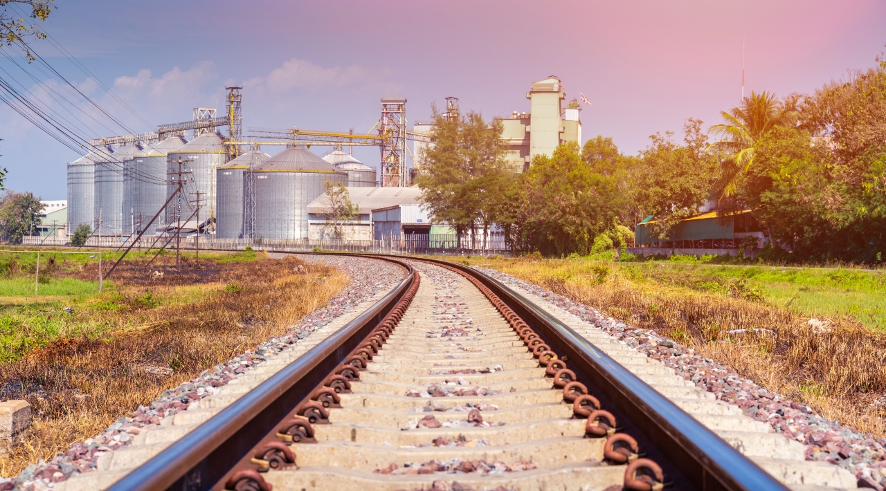 С/Х экспорт на Восток: почему Западно-Сибирская железная дорога стала ключевым узлом