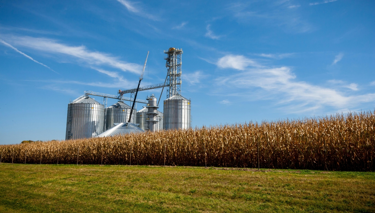 Когда зерно не уходит